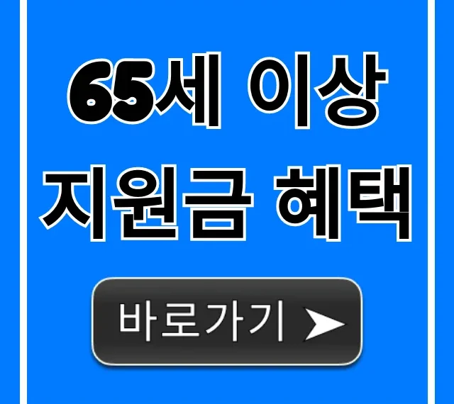 65세 이상 지원금 혜택 2024년 신청 방법 총정리 65세 이상 지원금 혜택 2024년 신청 방법 총정리