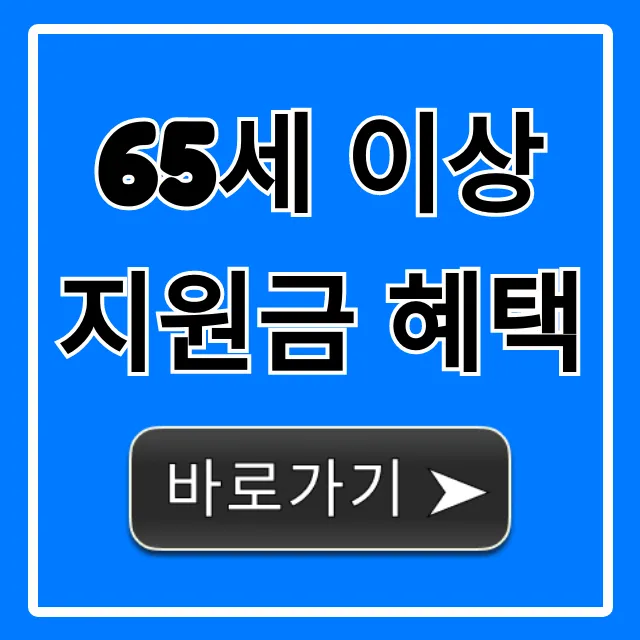 65세 이상 지원금 혜택 2024년 신청 방법 총정리