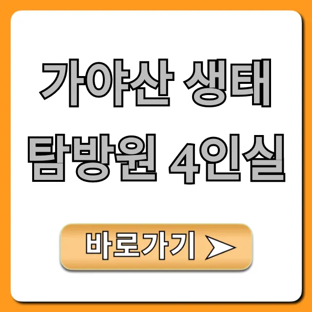 가야산 생태탐방원 4인실 후기, 예약 꿀팁 완벽 정리