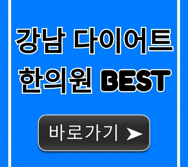 강남 다이어트 한의원 BEST! 가격/후기 총정리 강남 다이어트 한의원 BEST! 가격/후기 총정리