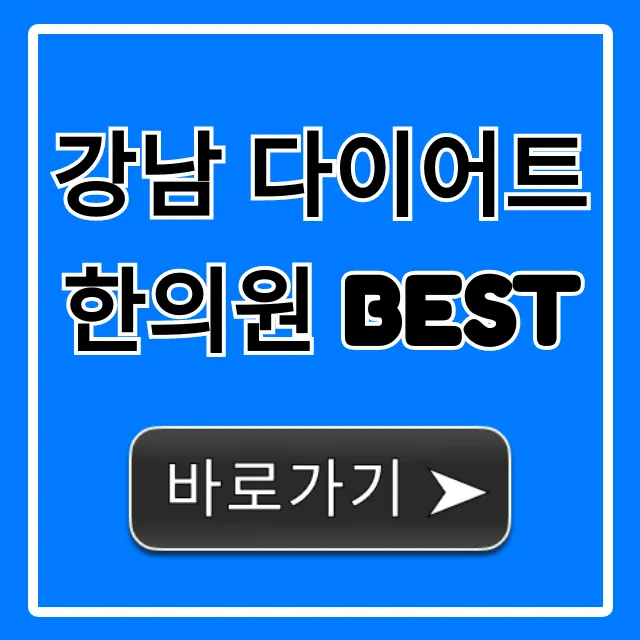 강남 다이어트 한의원 BEST! 가격/후기 총정리