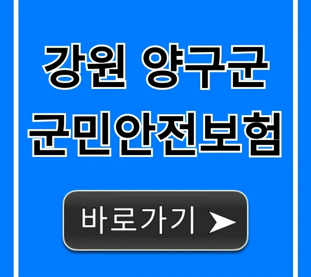 강원 양구군 군민안전보험: 보장 혜택 총정리