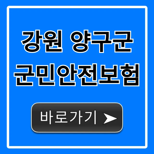 강원 양구군 군민안전보험: 보장 혜택 총정리