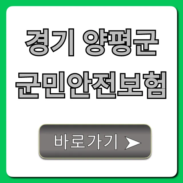 경기 양평군 군민안전보험: 보장부터 신청까지 총정리!