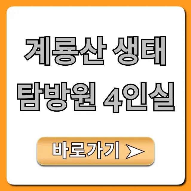 계룡산 생태탐방원 4인실: 예약부터 꿀팁까지!