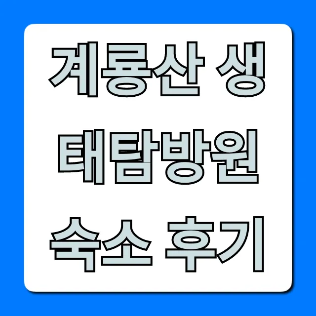 계룡산 생태탐방원 숙소 후기, 예약부터 꿀팁 총정리! 계룡산 생태탐방원 숙소 후기, 예약부터 꿀팁 총정리!