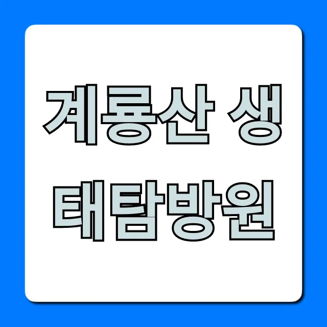 계룡산 생태탐방원 프로그램 예약 완벽 가이드