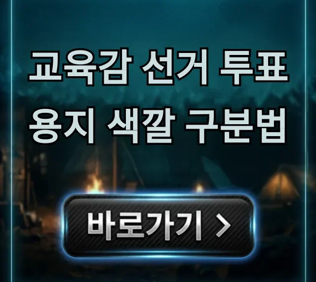 교육감 선거 투표용지 색깔 구분법: 완벽 이해 가이드