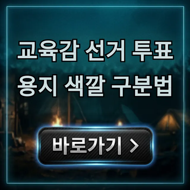 교육감 선거 투표용지 색깔 구분법: 완벽 이해 가이드