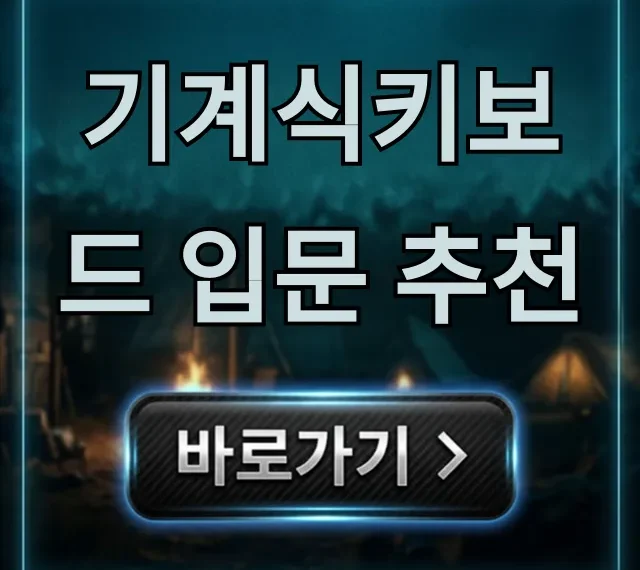 기계식키보드 입문 추천, 가성비 끝판왕 총정리 기계식키보드 입문 추천, 가성비 끝판왕 총정리