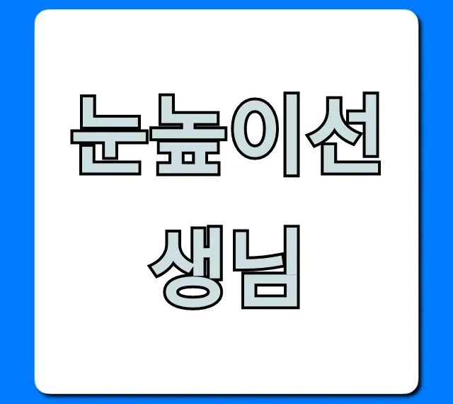 눈높이선생님 되는 법부터 월급까지 총정리 눈높이선생님 되는 법부터 월급까지 총정리