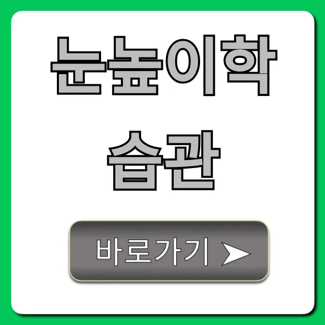 눈높이학습관: 비용, 신청, 솔직 후기 총정리