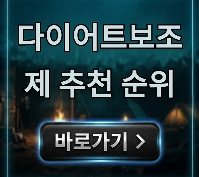 다이어트보조제 추천 순위, 내돈내산 찐후기 총정리 다이어트보조제 추천 순위, 내돈내산 찐후기 총정리