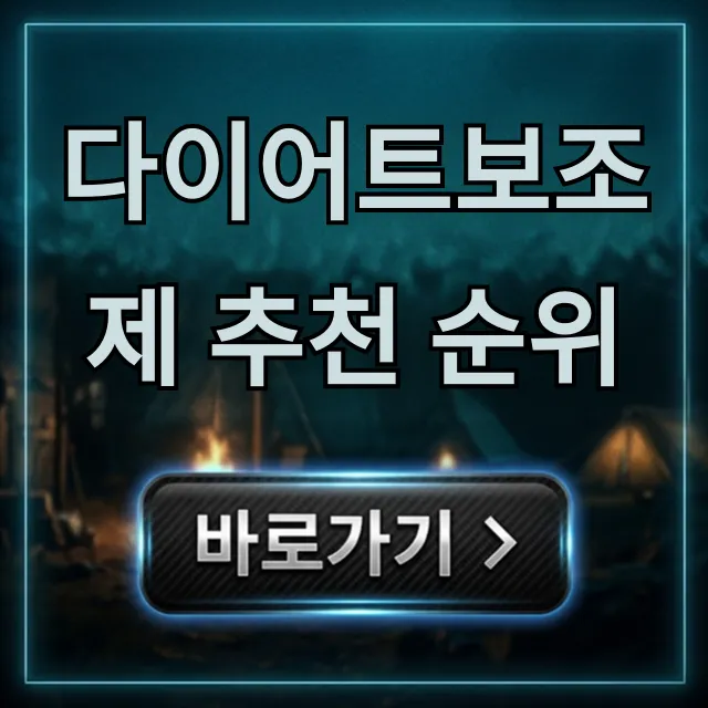 다이어트보조제 추천 순위, 내돈내산 찐후기 총정리