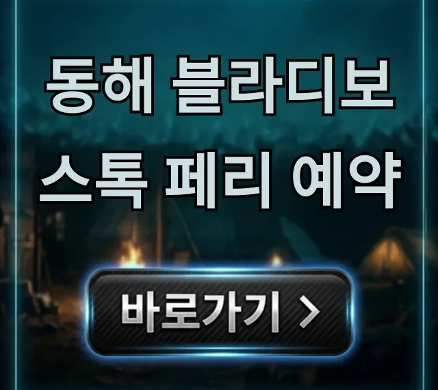 동해 블라디보스톡 페리 예약 완벽 가이드! 최신 가격 꿀팁 동해 블라디보스톡 페리 예약 완벽 가이드! 최신 가격 꿀팁