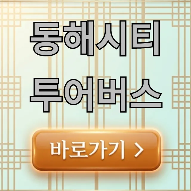 동해시티투어버스 완벽 코스, 가격, 예약 꿀팁