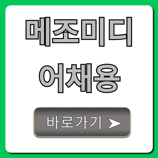 메조미디어채용: 연봉 복지 면접 총정리 메조미디어채용: 연봉 복지 면접 총정리