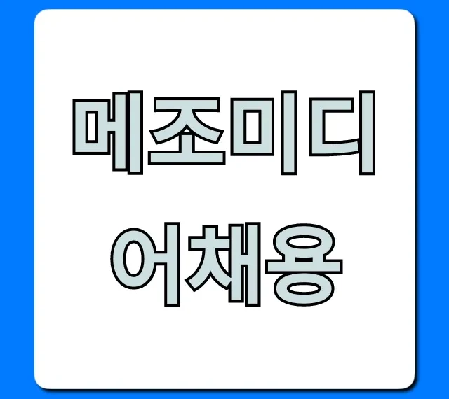 메조미디어채용, 연봉/복지 합격 꿀팁 총정리