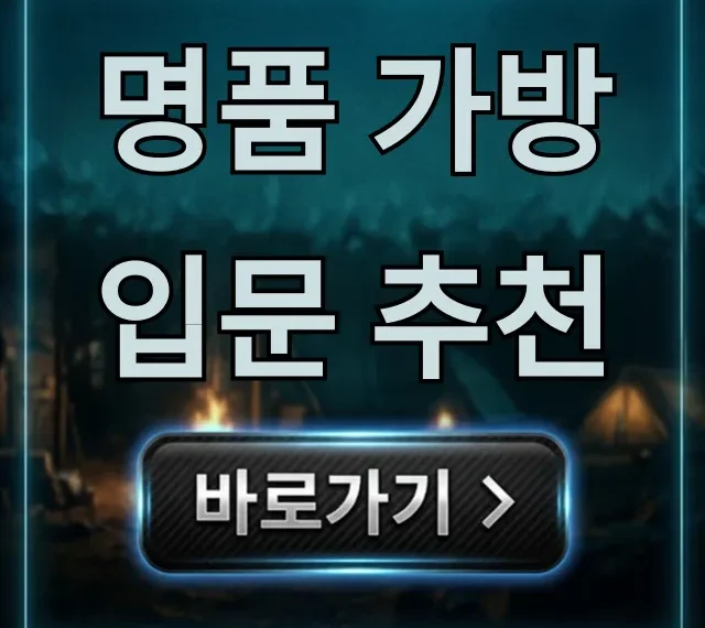명품 가방 입문 추천, 20대 30대 후회 없는 완벽 가이드 명품 가방 입문 추천, 20대 30대 후회 없는 완벽 가이드