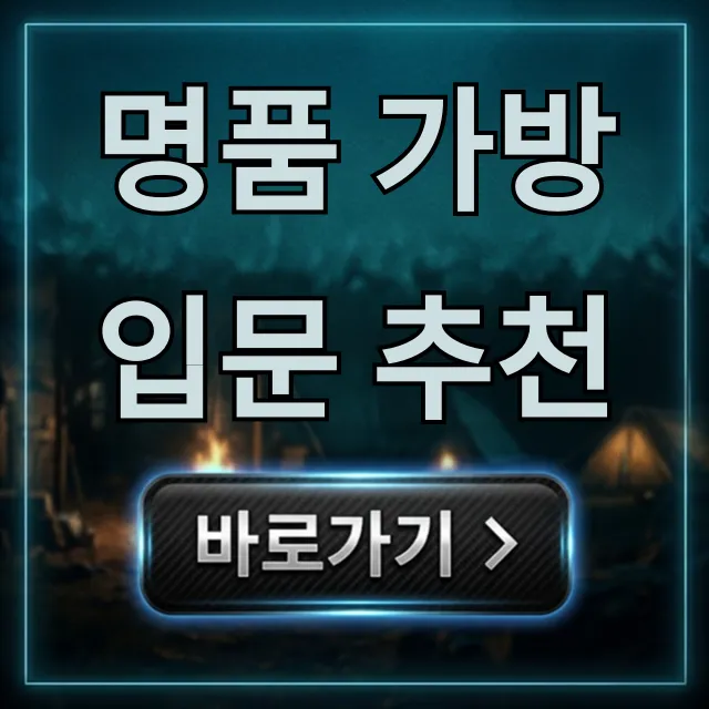 명품 가방 입문 추천, 20대 30대 후회 없는 완벽 가이드 명품 가방 입문 추천, 20대 30대 후회 없는 완벽 가이드