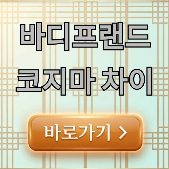 바디프랜드 코지마 차이, 안마의자 구매 전 필독 완벽 가이드