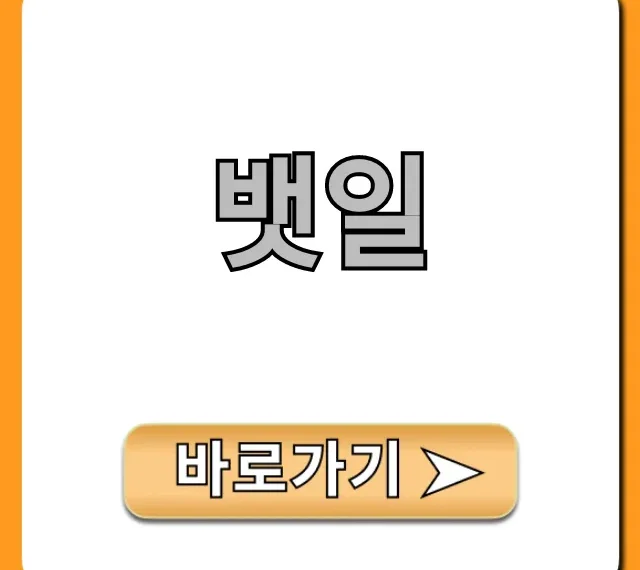 뱃일, 월급 실수령액과 하는 법 총정리 뱃일, 월급 실수령액과 하는 법 총정리
