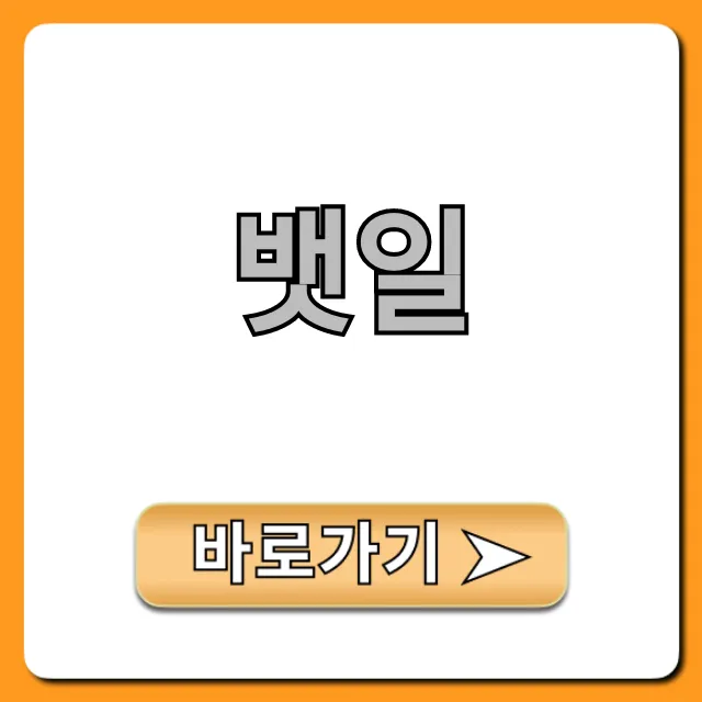뱃일, 월급 실수령액과 하는 법 총정리