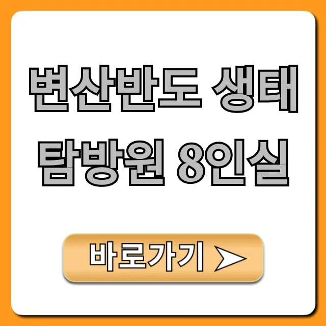 변산반도 생태탐방원 8인실! 가족여행 예약 꿀팁 변산반도 생태탐방원 8인실! 가족여행 예약 꿀팁