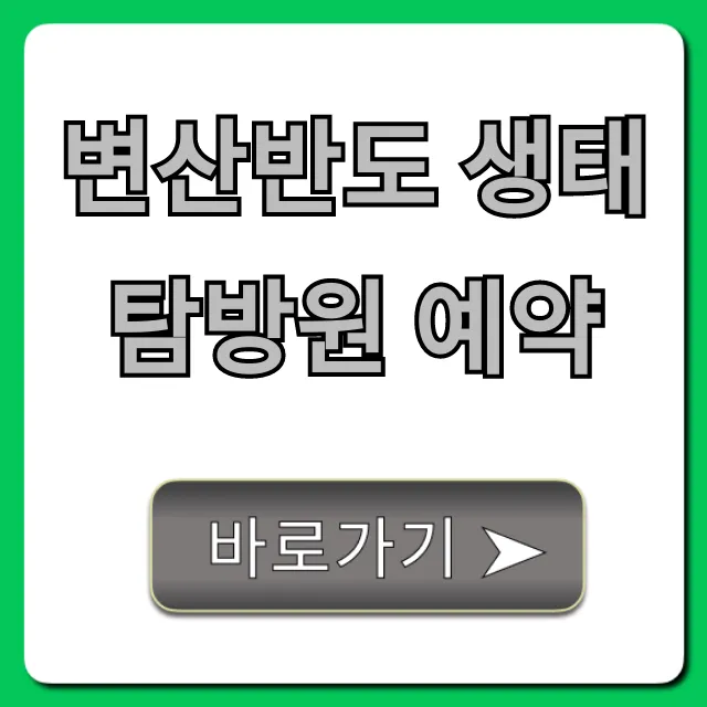 변산반도 생태탐방원 예약 방법부터 가격까지 총정리