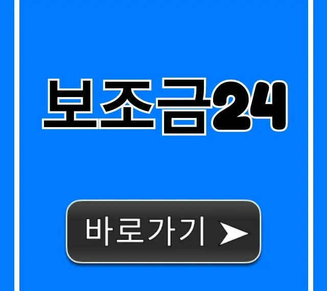 보조금24 맞춤형 지원금 조회 꿀팁