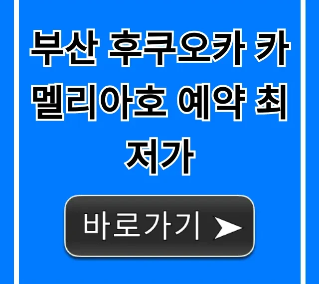 부산 후쿠오카 카멜리아호 예약 최저가 꿀팁 총정리 부산 후쿠오카 카멜리아호 예약 최저가 꿀팁 총정리