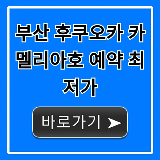 부산 후쿠오카 카멜리아호 예약 최저가 꿀팁 총정리 부산 후쿠오카 카멜리아호 예약 최저가 꿀팁 총정리