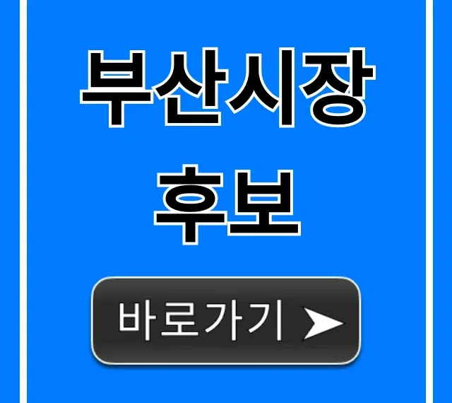 부산시장 후보 핵심 공약 지지율 총정리