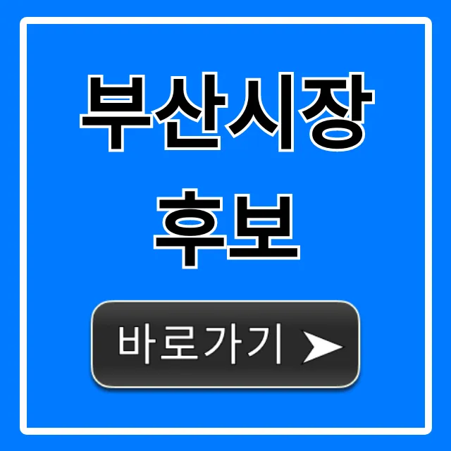 부산시장 후보 핵심 공약 지지율 총정리