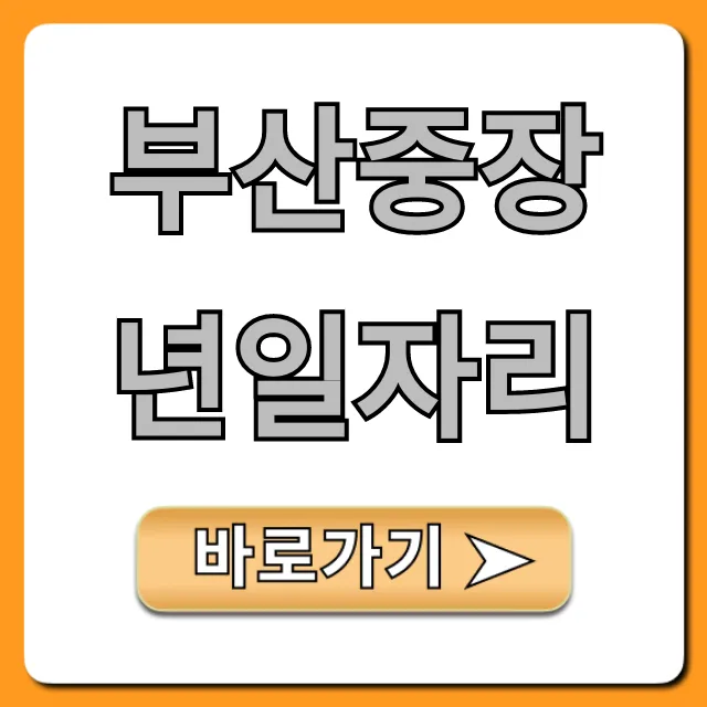 부산중장년일자리 5060 재취업 꿀팁 총정리