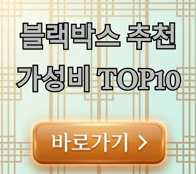 블랙박스 추천 가성비 TOP10! 2채널 주차 녹화 완벽 가이드
