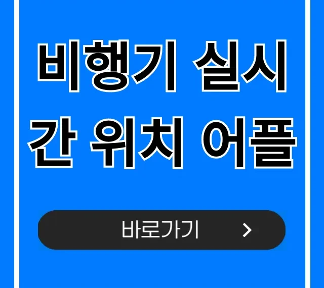 비행기 실시간 위치 어플 총정리! 항공편 조회 꿀팁