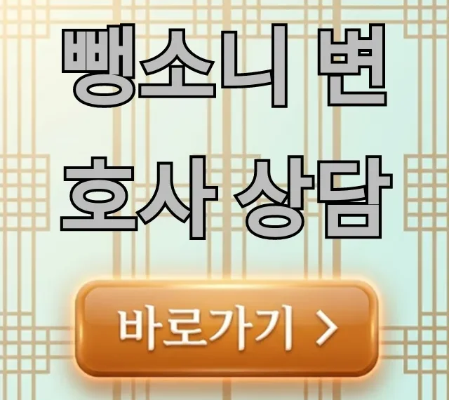 뺑소니 변호사 상담, 처벌 수위 대처법 완벽 가이드