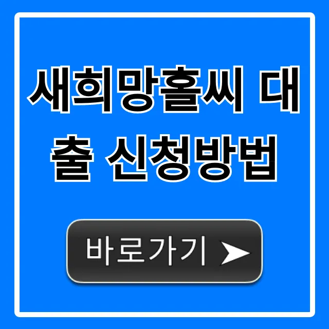 새희망홀씨 대출 신청방법! 부결 없이 승인 꿀팁