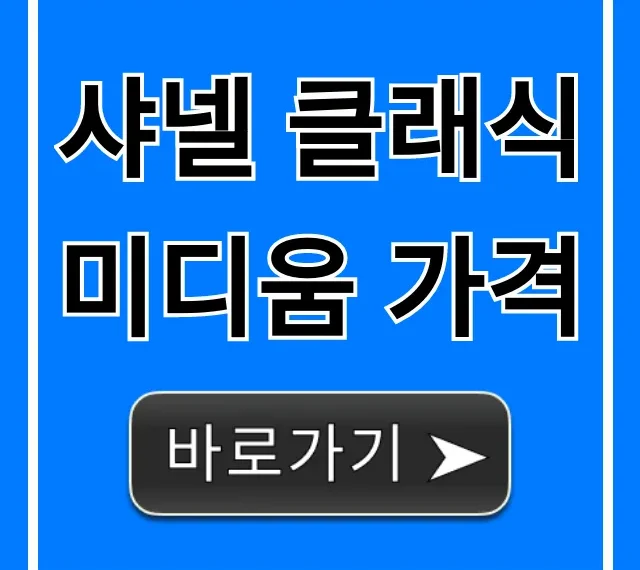 샤넬 클래식 미디움 가격 최신 인상 총정리 샤넬 클래식 미디움 가격 최신 인상 총정리