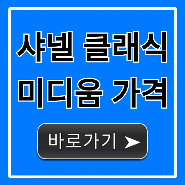 샤넬 클래식 미디움 가격 최신 인상 총정리