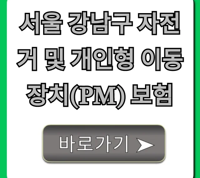 서울 강남구 자전거 및 개인형 이동장치(PM) 보험 가입 완벽 가이드 서울 강남구 자전거 및 개인형 이동장치(PM) 보험 가입 완벽 가이드