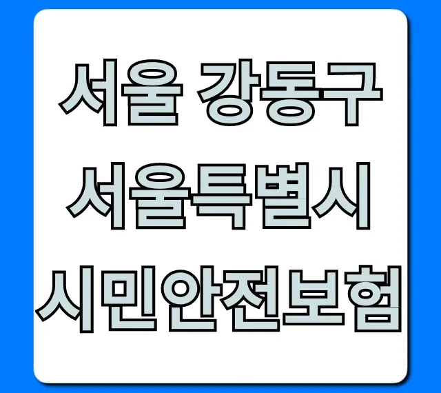 서울 강동구 서울특별시 시민안전보험 완벽 가이드 서울 강동구 서울특별시 시민안전보험 완벽 가이드