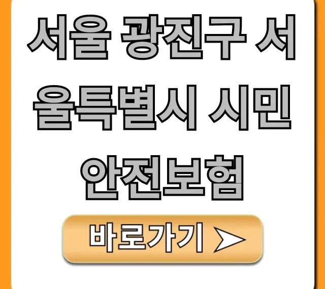 서울 광진구 서울특별시 시민안전보험 보장 혜택 총정리 서울 광진구 서울특별시 시민안전보험 보장 혜택 총정리
