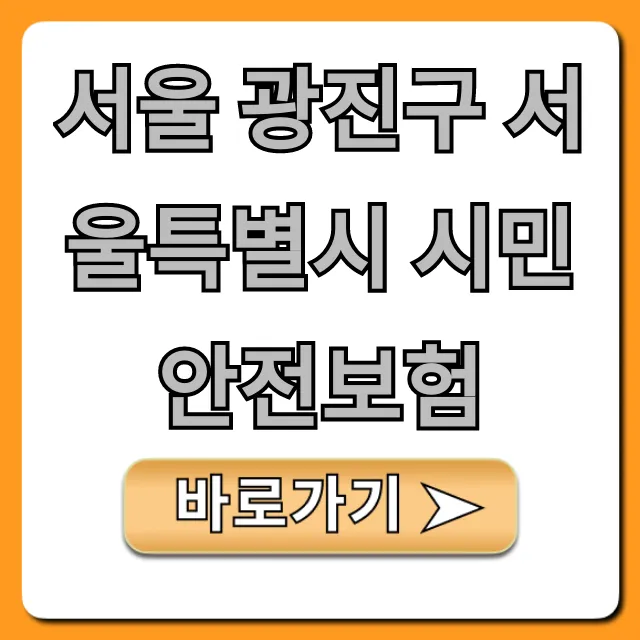 서울 광진구 서울특별시 시민안전보험 보장 혜택 총정리