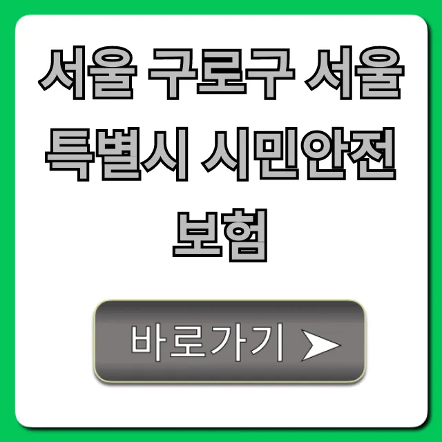 서울 구로구 서울특별시 시민안전보험 보장 혜택 총정리 서울 구로구 서울특별시 시민안전보험 보장 혜택 총정리