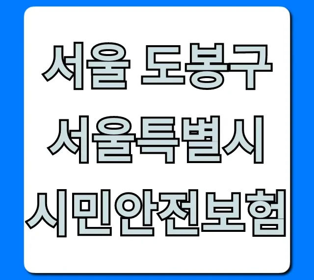 서울 도봉구 서울특별시 시민안전보험 무료 혜택 총정리 서울 도봉구 서울특별시 시민안전보험 무료 혜택 총정리