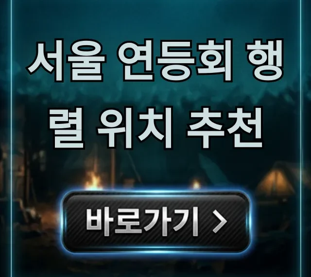 서울 연등회 행렬 위치 추천: 명당부터 꿀팁 총정리