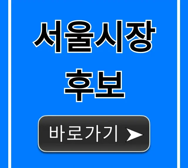 서울시장 후보 누가 될까? 공약 총정리