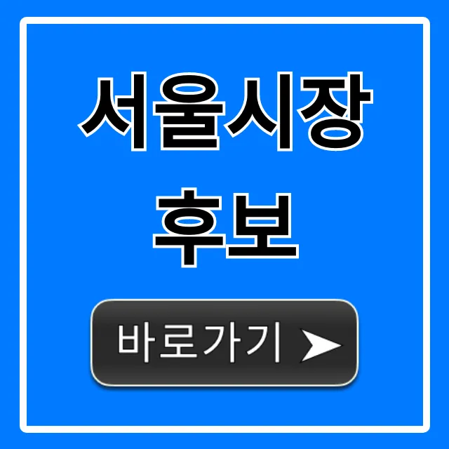 서울시장 후보 누가 될까? 공약 총정리